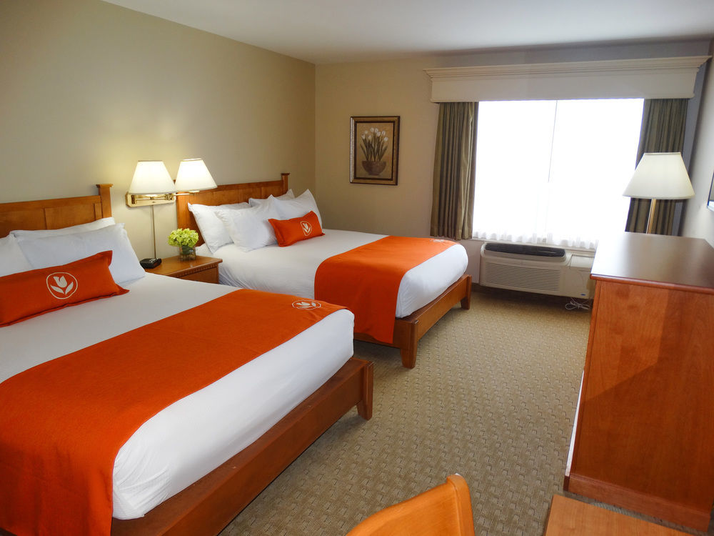 Quality Inn & Suites Amsterdam Фредериктън Екстериор снимка