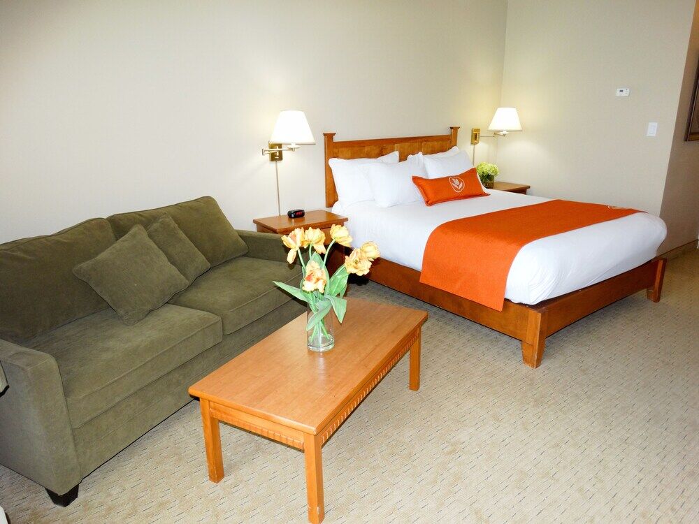 Quality Inn & Suites Amsterdam Фредериктън Екстериор снимка